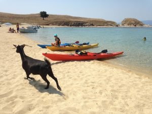 ExploreTheOutside Private Sea Kayaking Trips