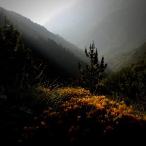 Hiking Olympus