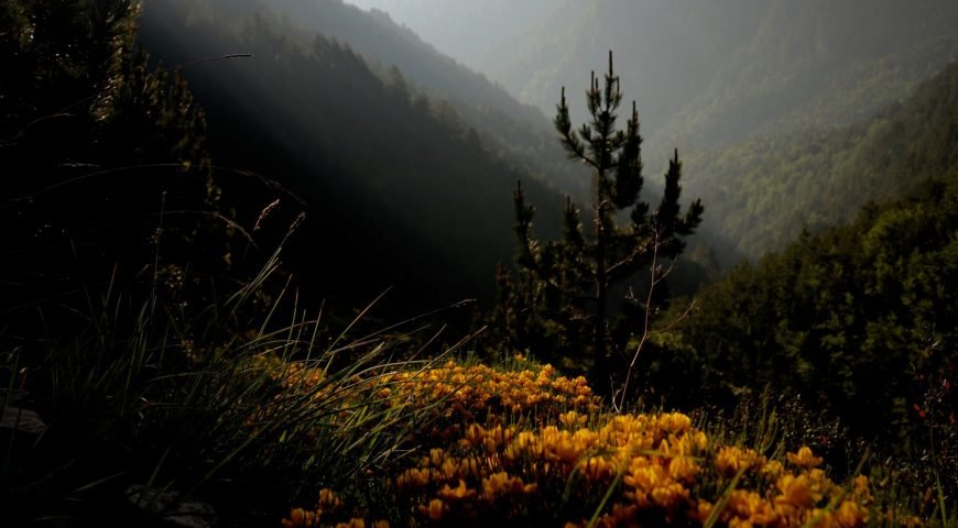 Mount Olympus