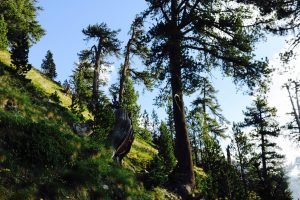Olympus Hiking