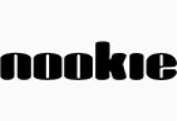 nookie_logo