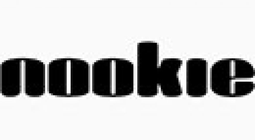 nookie_logo